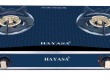 BẾP ĐÔI HAYASA 8900