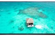 Tivi Asanzo 55 inch Google Tv màn hình 4k Điều khiển giọng nói