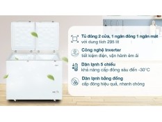 Tủ đông AQUA Inverter 295 lít AQF-C4202E