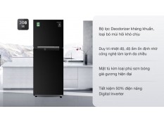 Tủ lạnh Samsung Inverter 208 lít RT20HAR8DBU/SV 