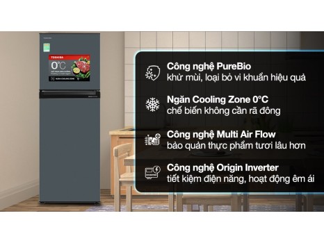 Tủ lạnh Toshiba Inverter 253 lít GR-RT329WE-PMV(52)